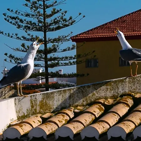 A18 - Chimney Townhouse In Historic Center Apartment *